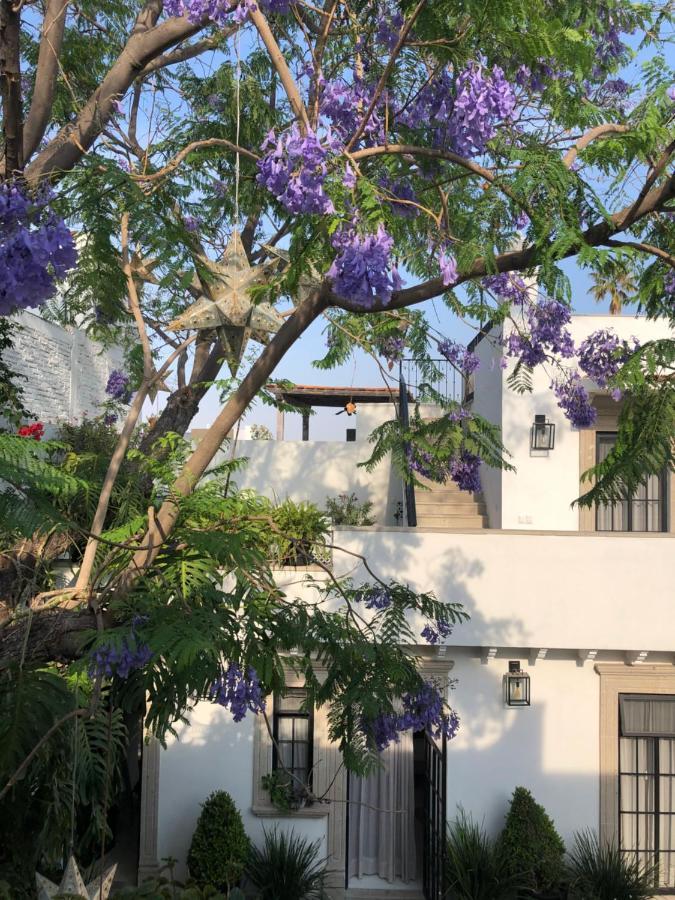 סאן מיגל דה אלנדה Casa Lani Luxury B&B מראה חיצוני תמונה