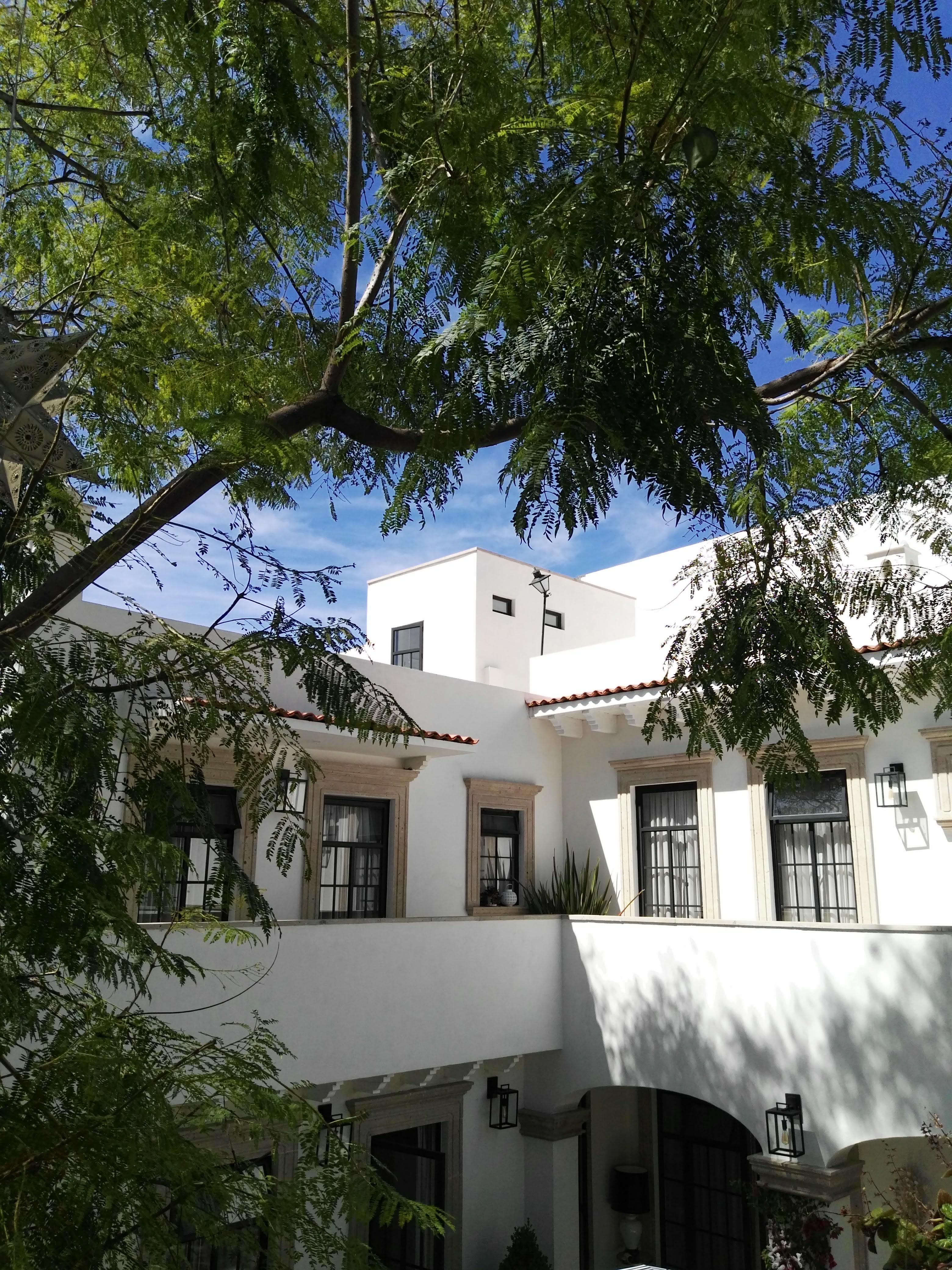 סאן מיגל דה אלנדה Casa Lani Luxury B&B מראה חיצוני תמונה