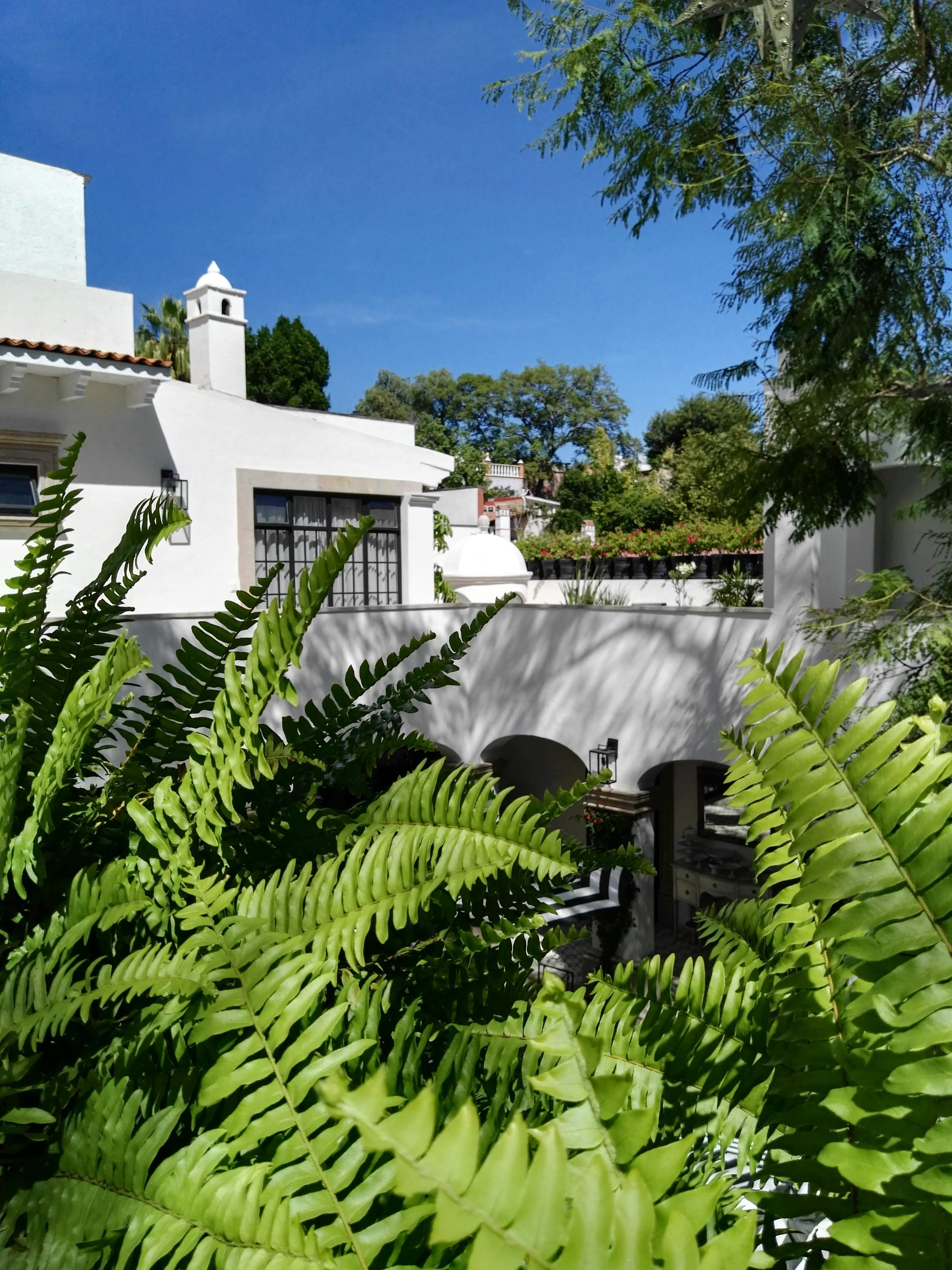 סאן מיגל דה אלנדה Casa Lani Luxury B&B מראה חיצוני תמונה