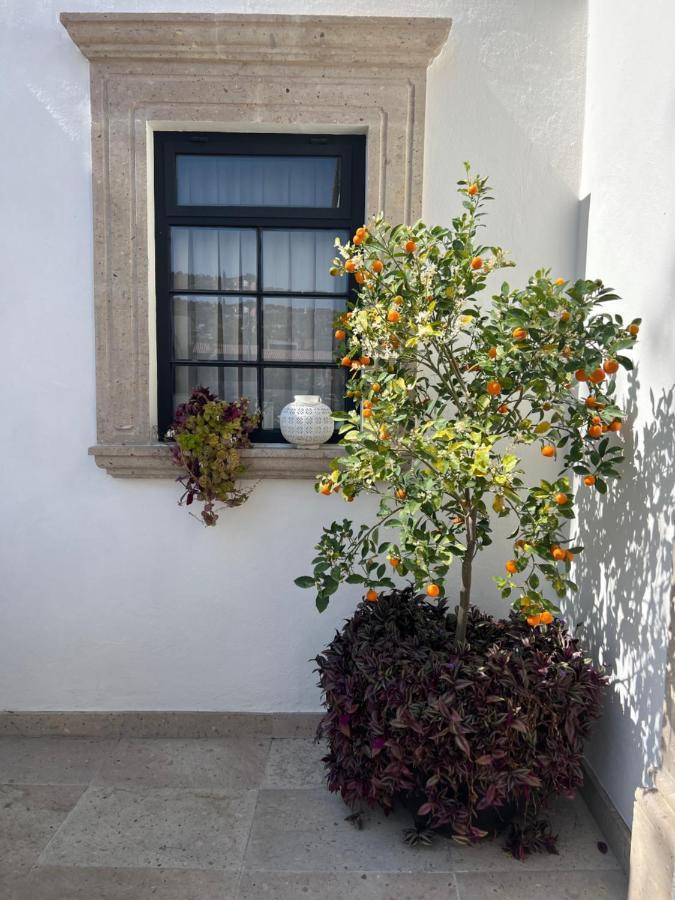 סאן מיגל דה אלנדה Casa Lani Luxury B&B מראה חיצוני תמונה